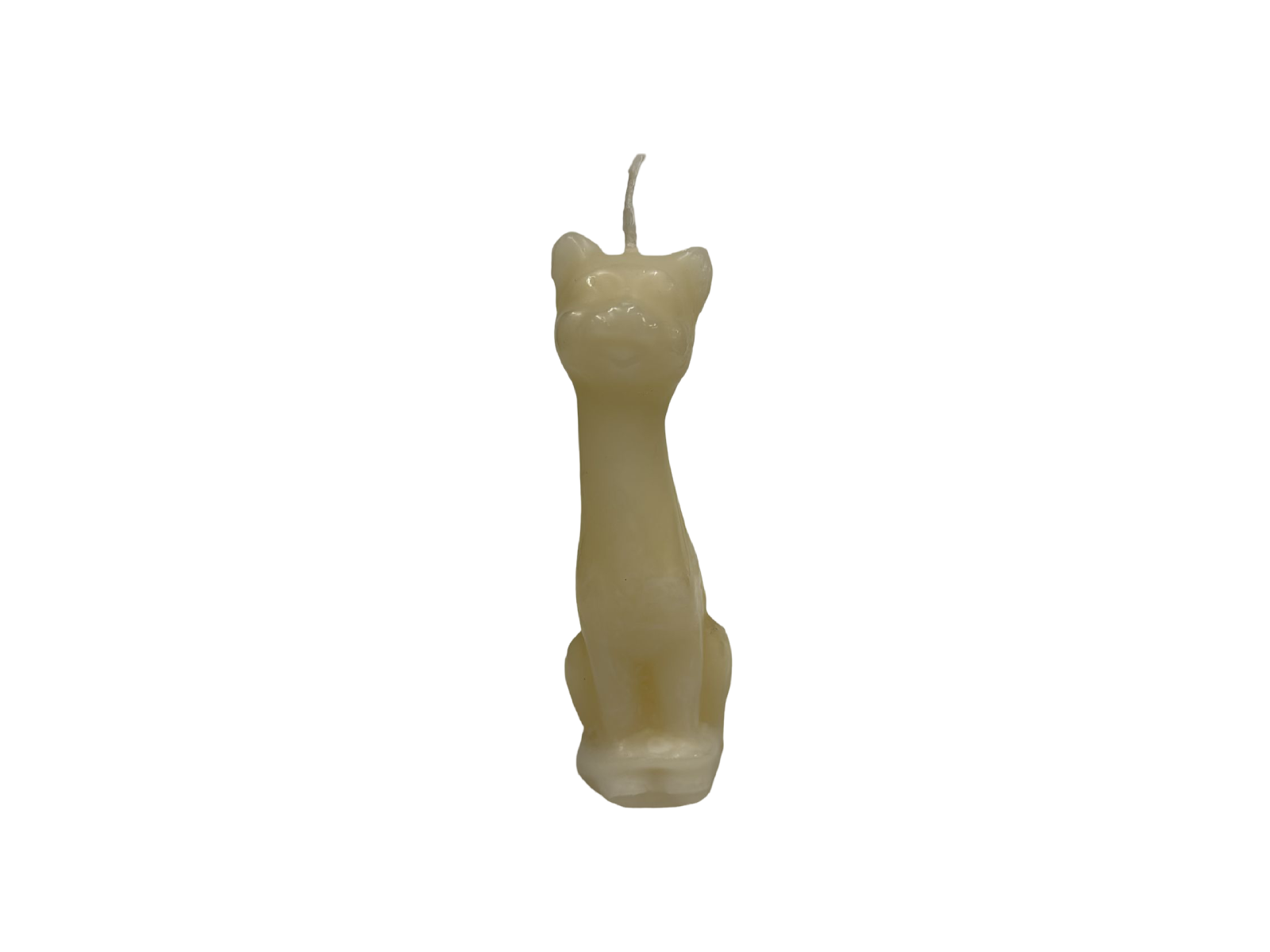 White Cat Image candle